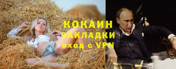 дмт Богданович