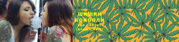 дмт Богданович