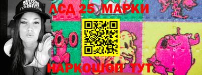 индика Обь