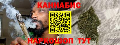 индика Обь
