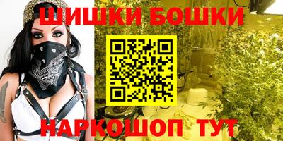 индика Обь