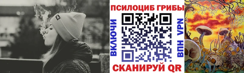 Галлюциногенные грибы GOLDEN TEACHER  Острогожск 