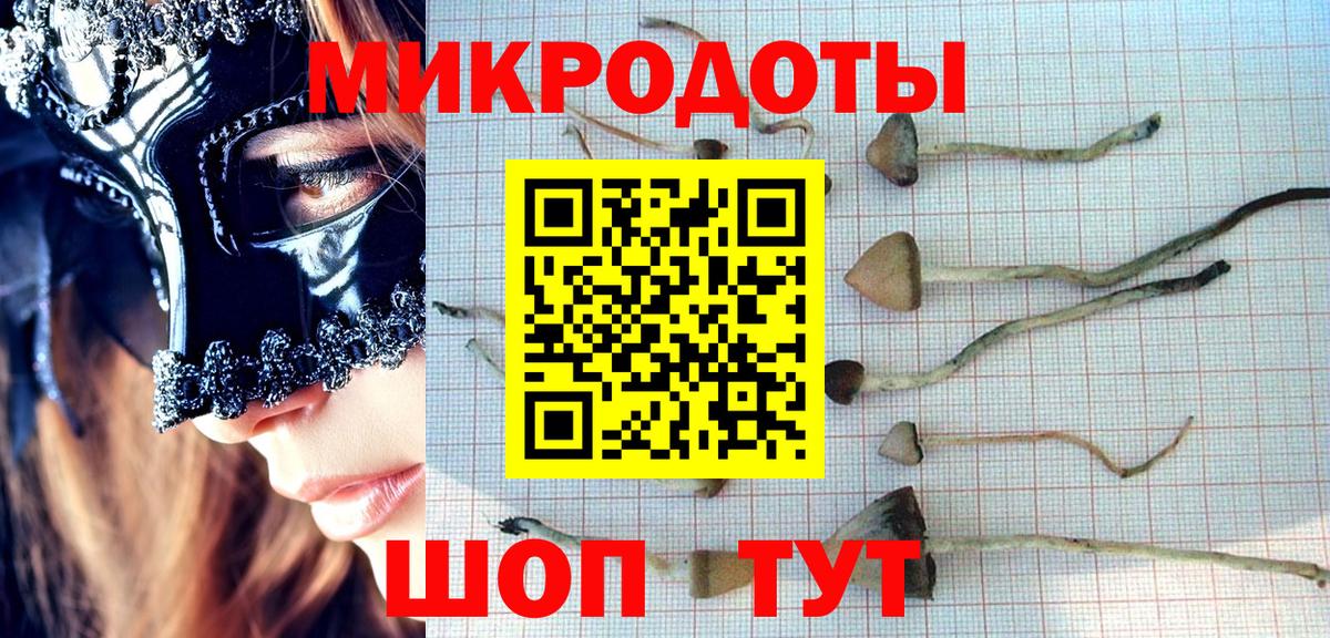 Галлюциногенные грибы мухоморы  Галлюциногенные грибы мицелий  Острогожск  где можно купить наркотик  Вход с VPN 