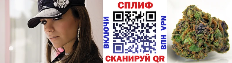 Бошки марихуана планчик  как найти наркотики  Острогожск 